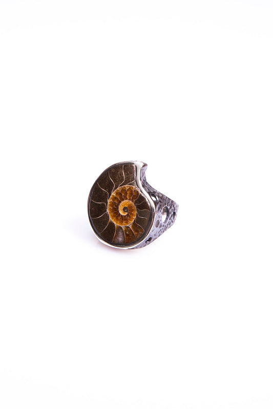 Silberring mit Ammonit